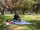 Picnic at the Imperial Palace * 2048 x 1536 * (1.54MB)